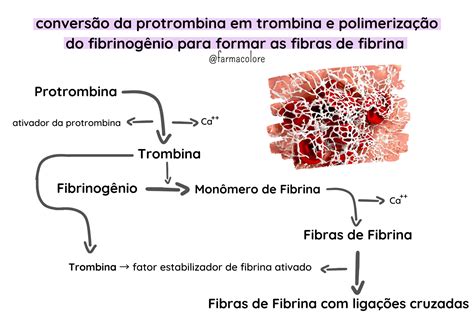 Protrombina